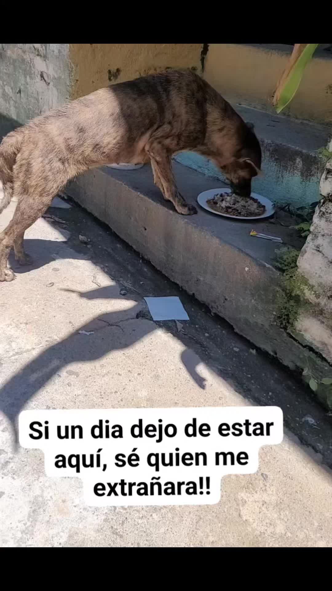 @𝕃𝕚𝕤𝕤 ℝ𝕖yes🇸🇻