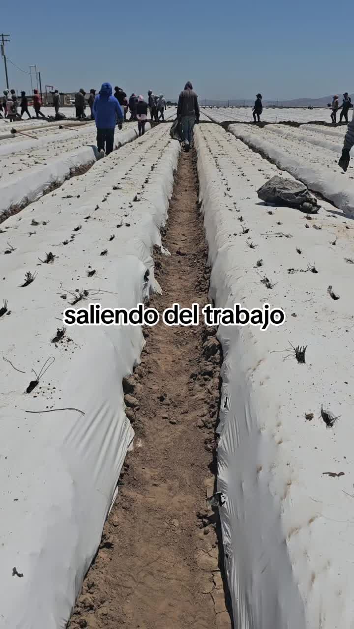 @🇲🇽🐦&zwj;⬛🪺VASQUEZ🚚🌪💎