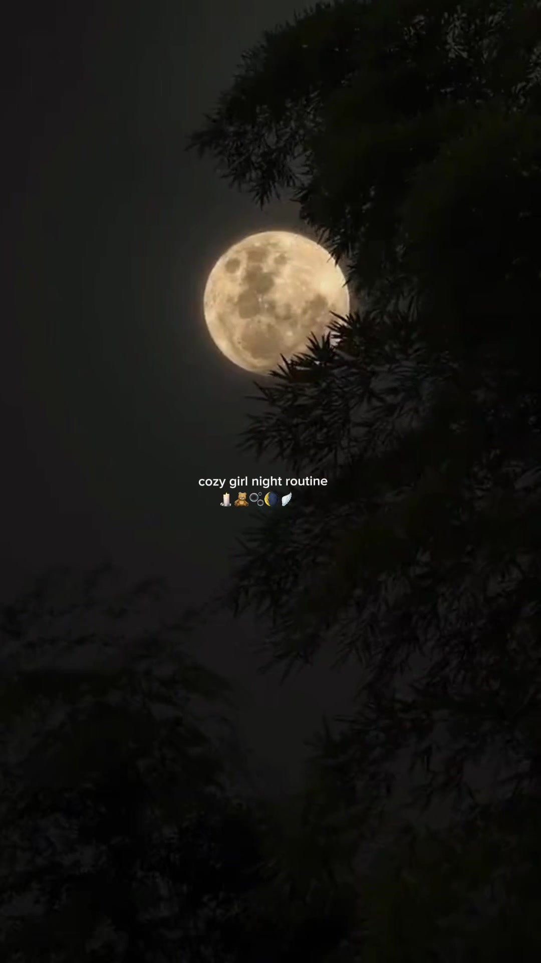 @𝔇𝔢𝔟 ♡