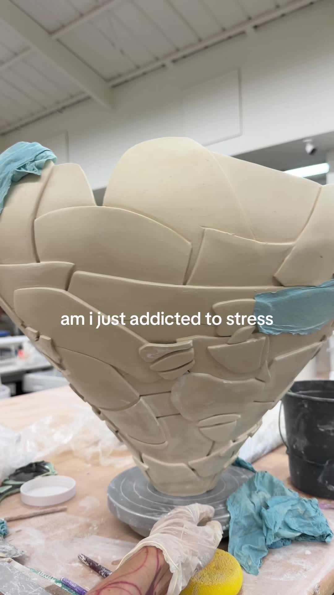 @sasha