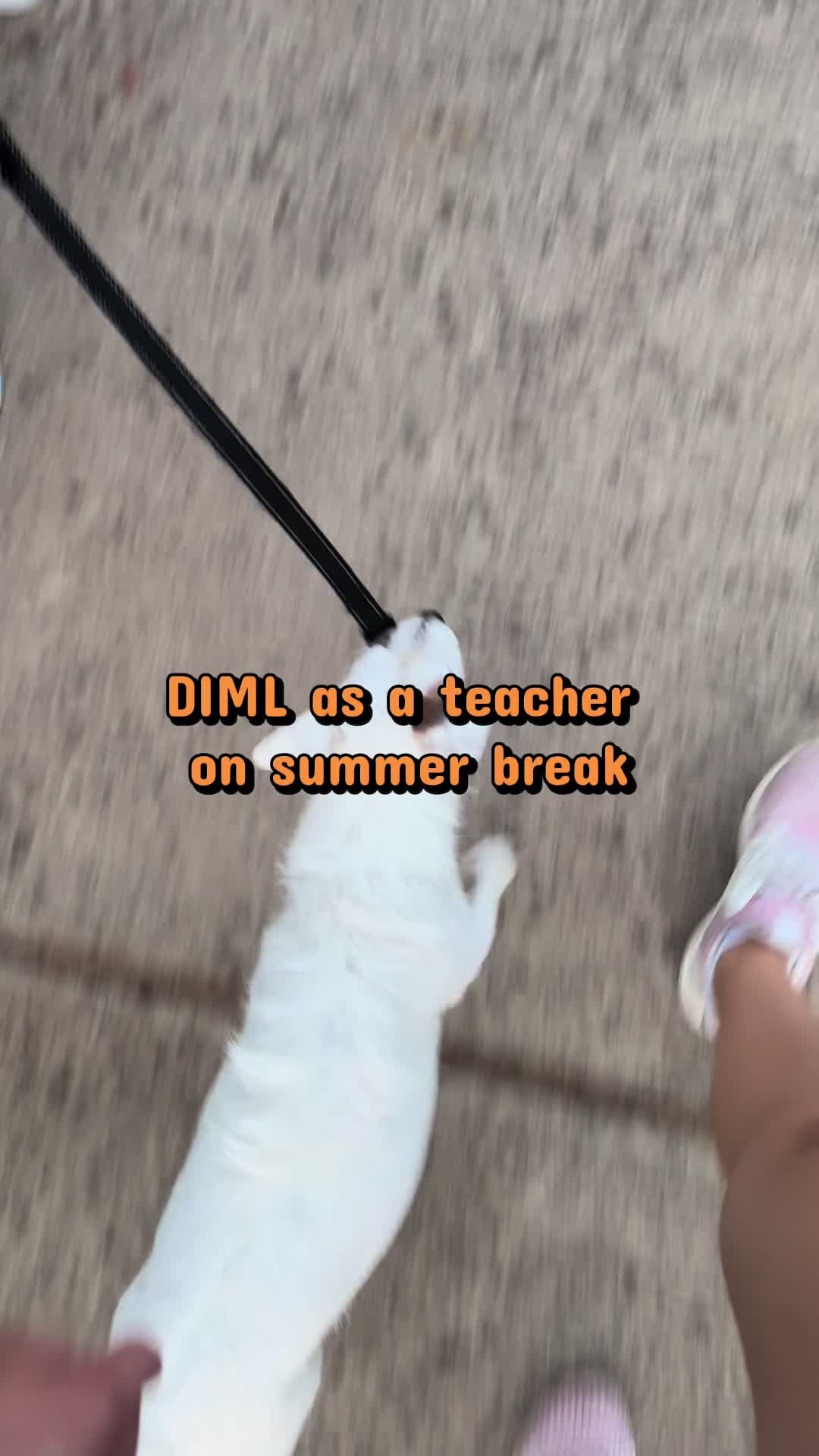 @al