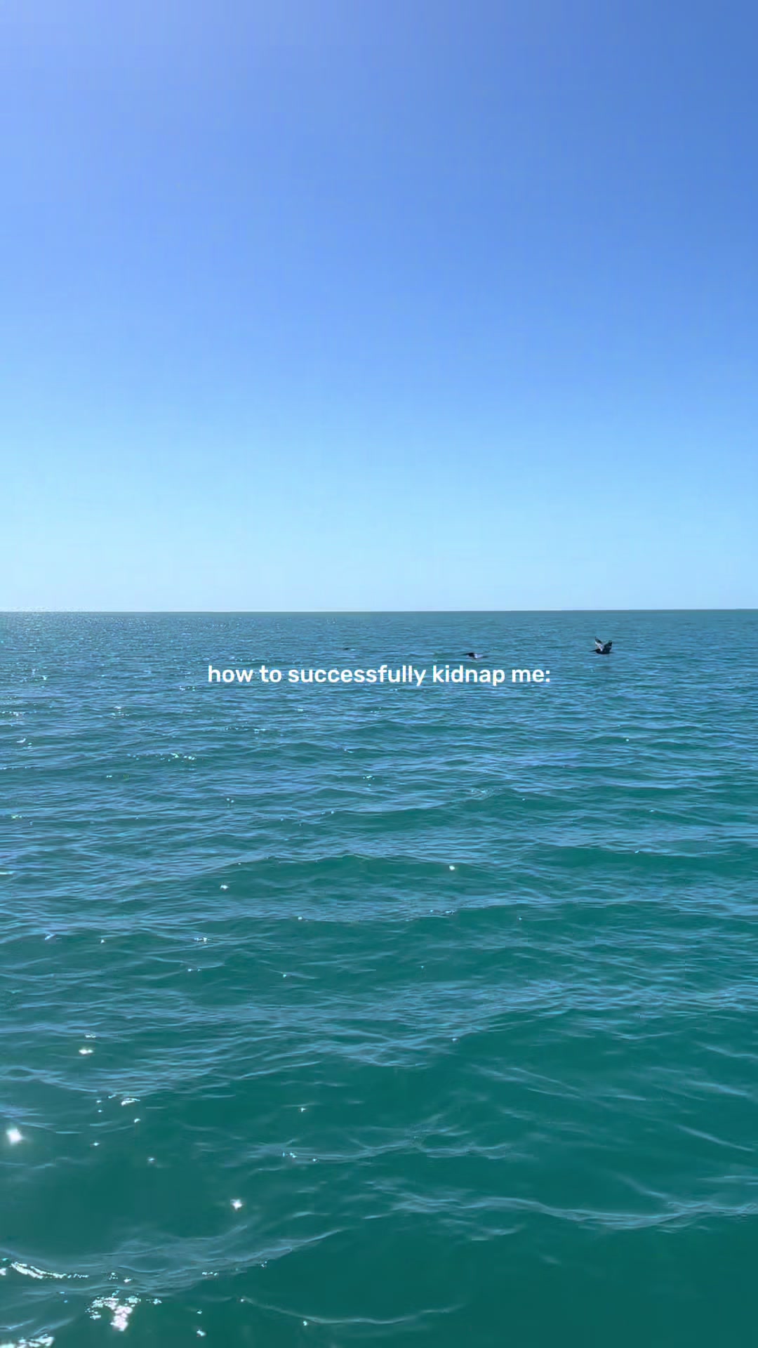 @Sarasota Local Guide 🌊🏝️
