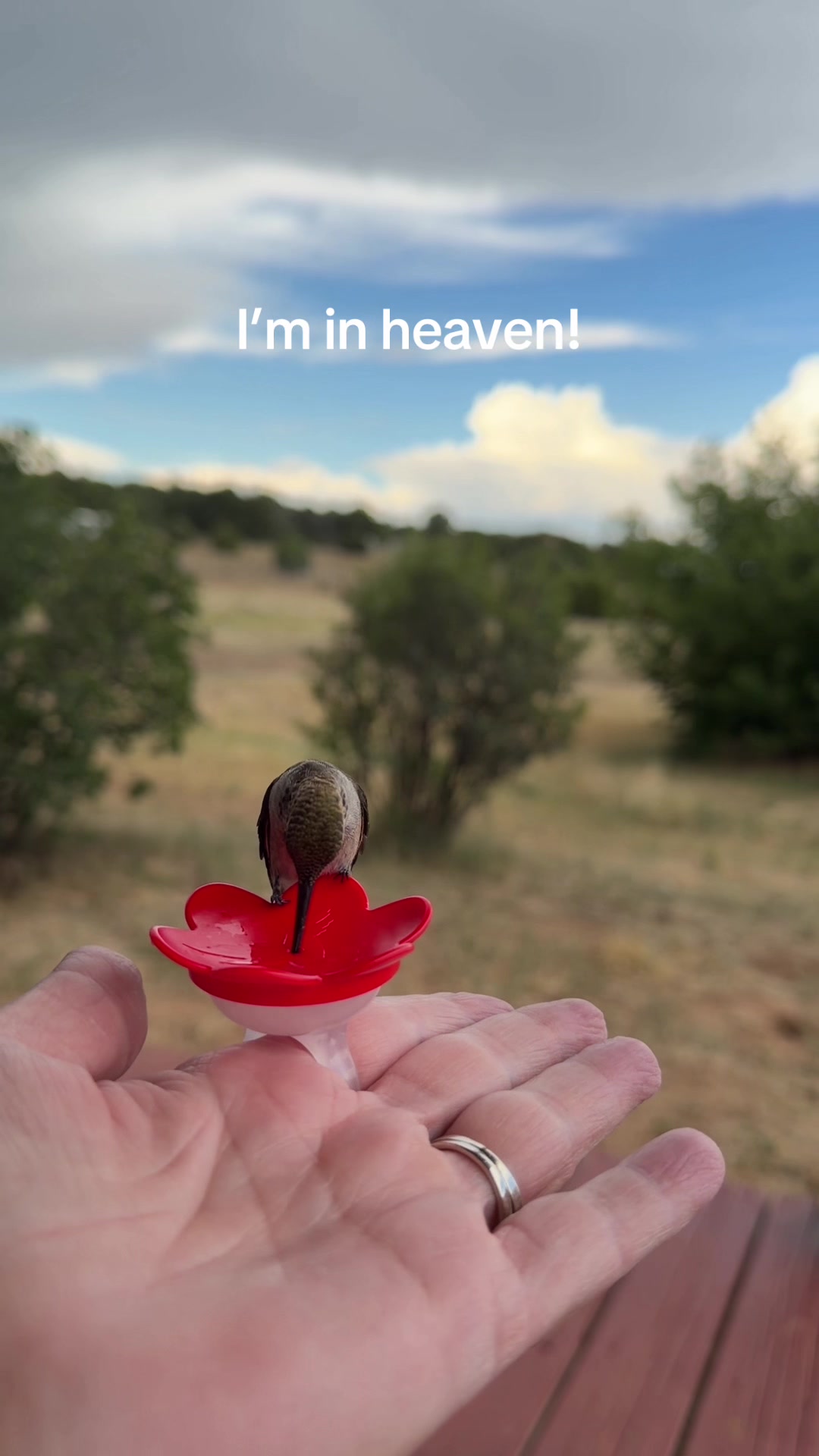 @NatureLoverHeather