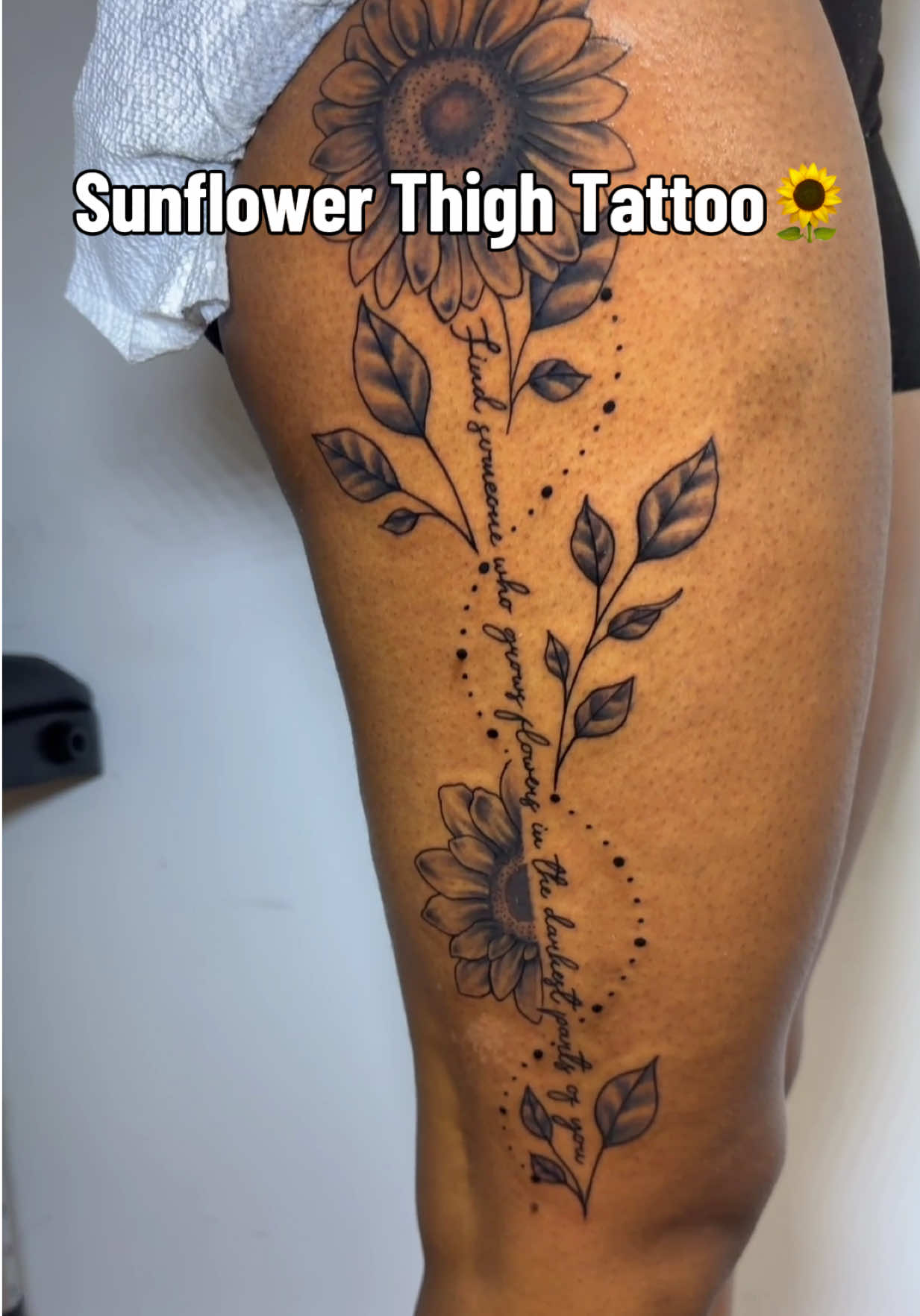 @taedavinci