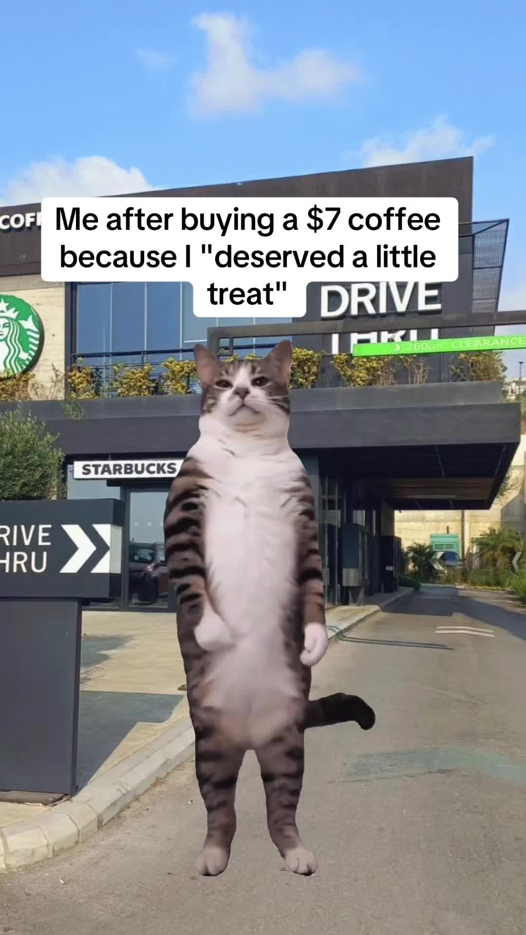 @Memestreamqueen