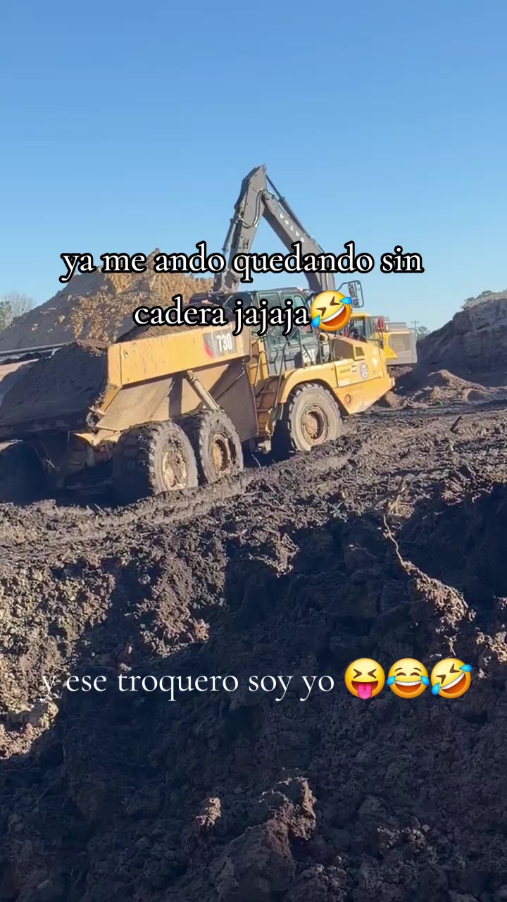 @Gustavo Frias501