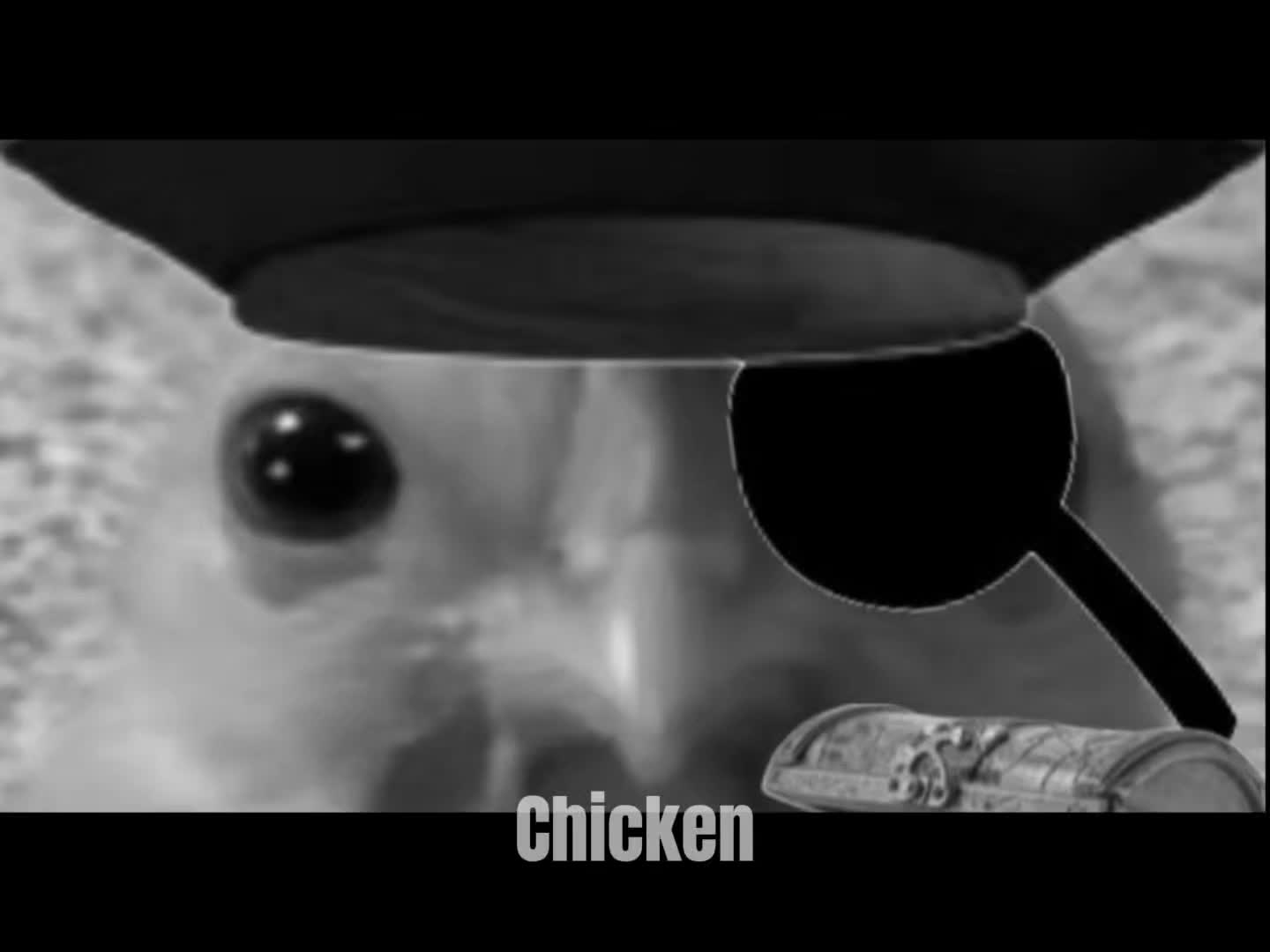 @🐓chickens number 1 fan 🐓