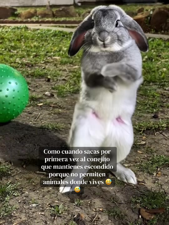 @Pasión en versos ❤️🔥
