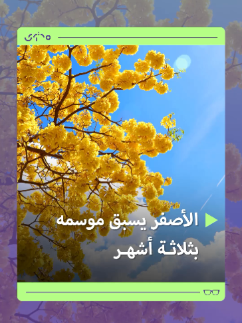 @Mohtawa - محتوى