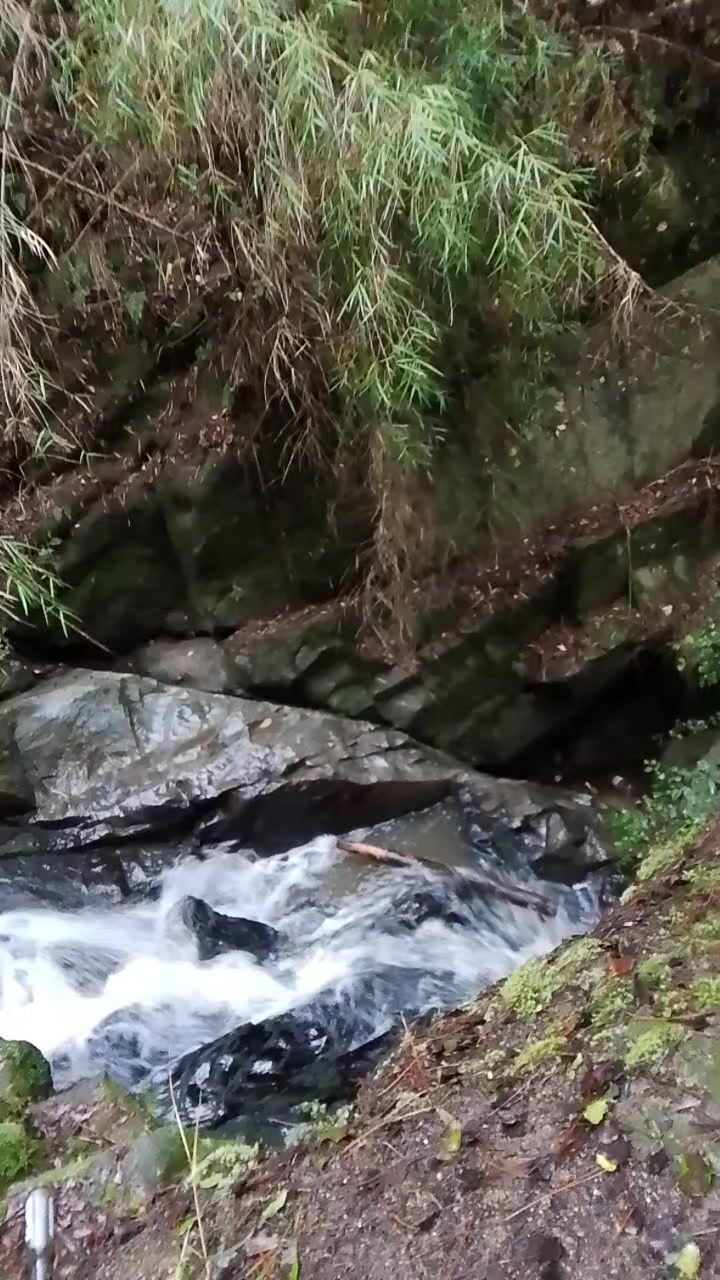 @Cam&iacute;✨🦋✨