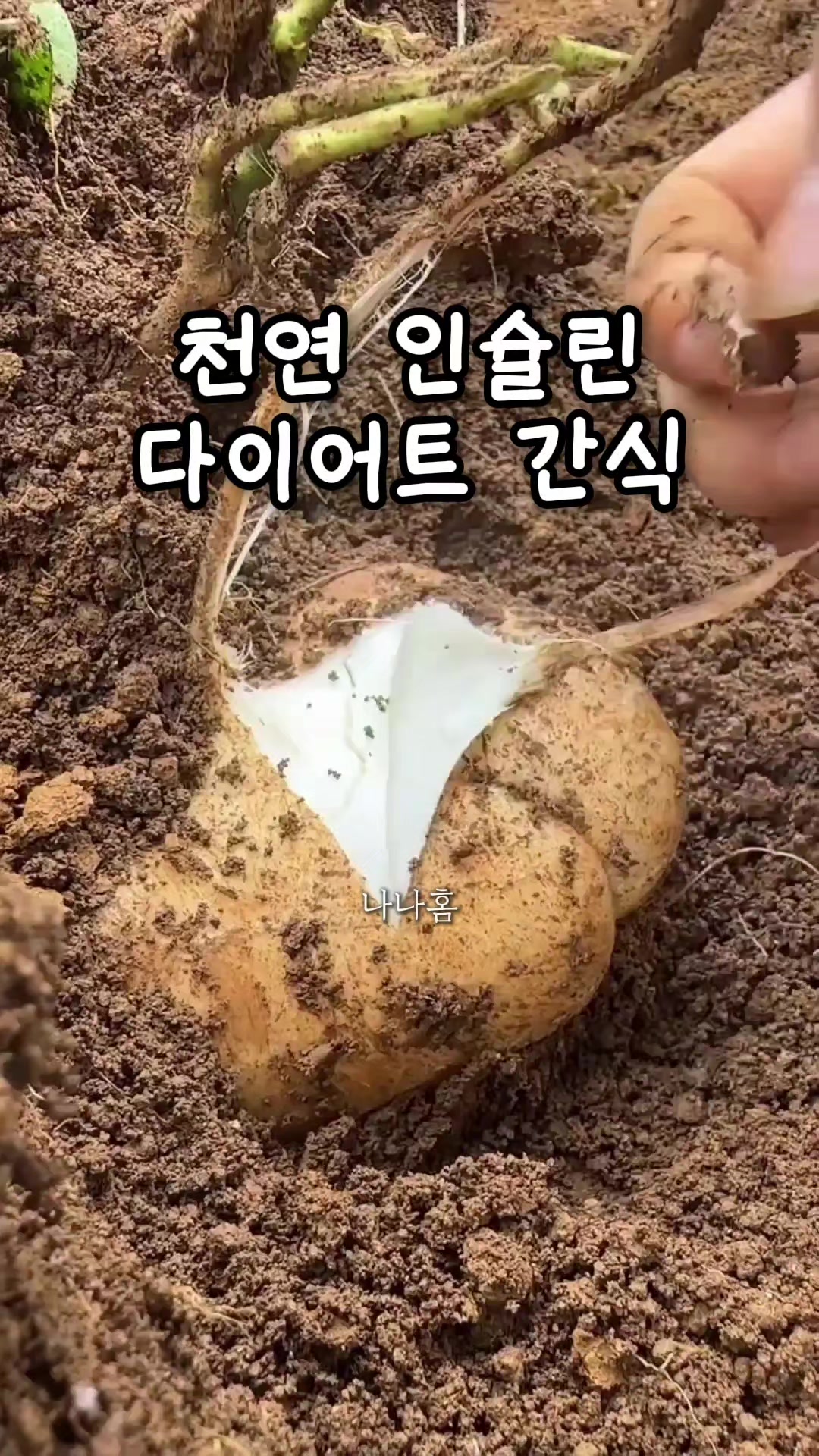 @나나홈