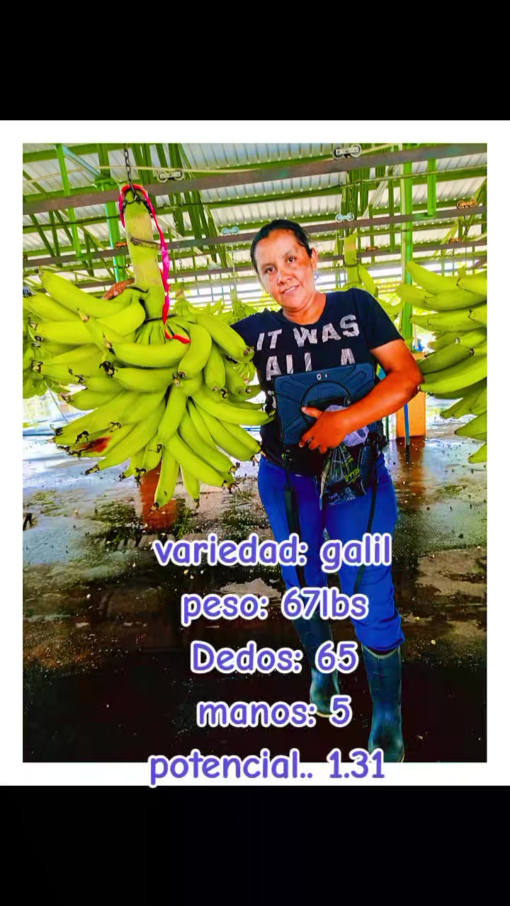 @Vicky vicky