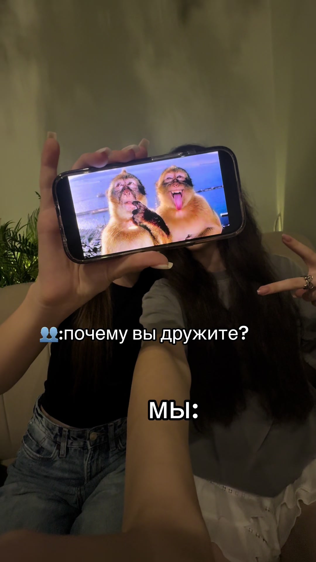 @yanka.xyliganka