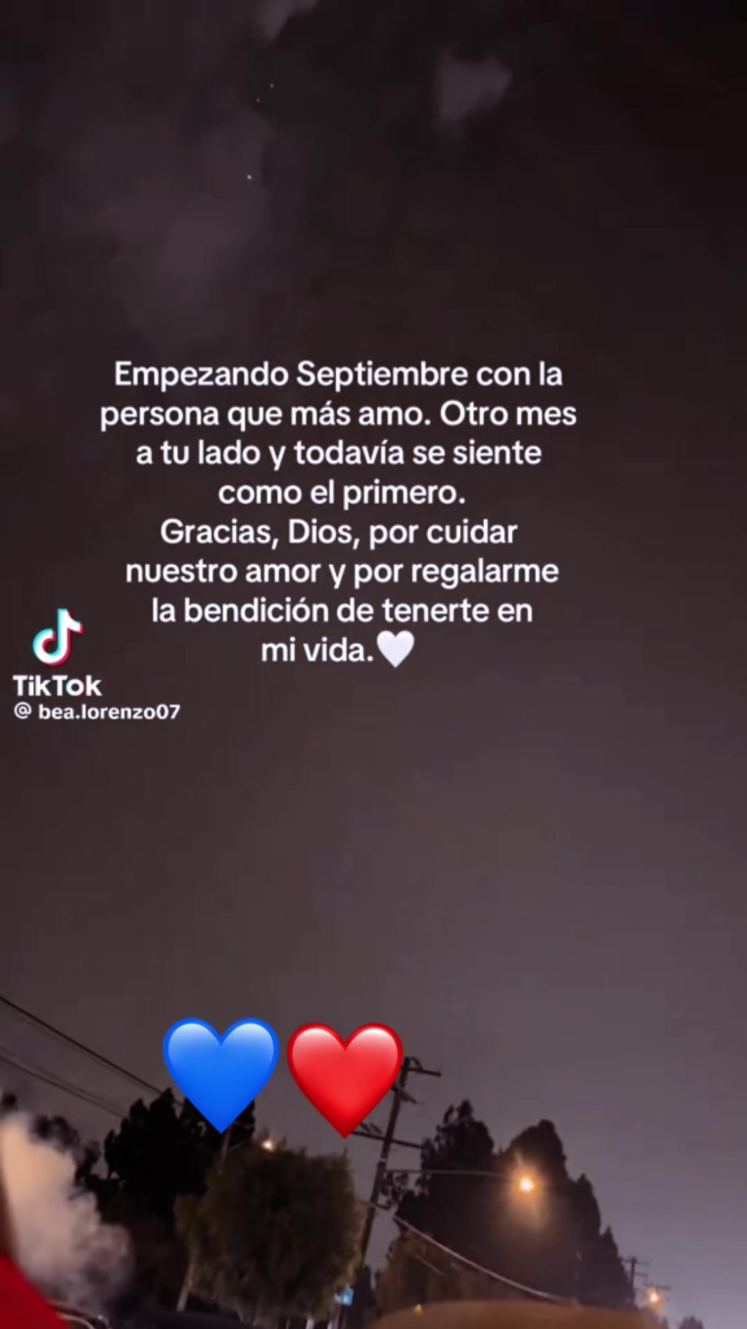 @Cecilia Vidal