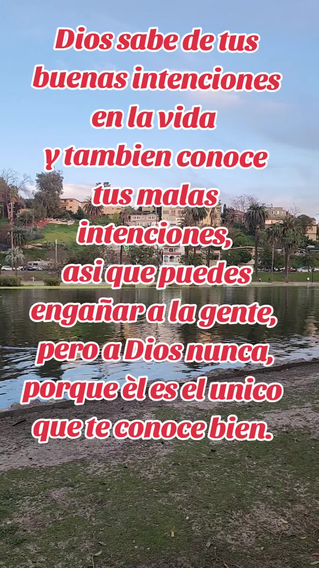 @Tebalopez13
