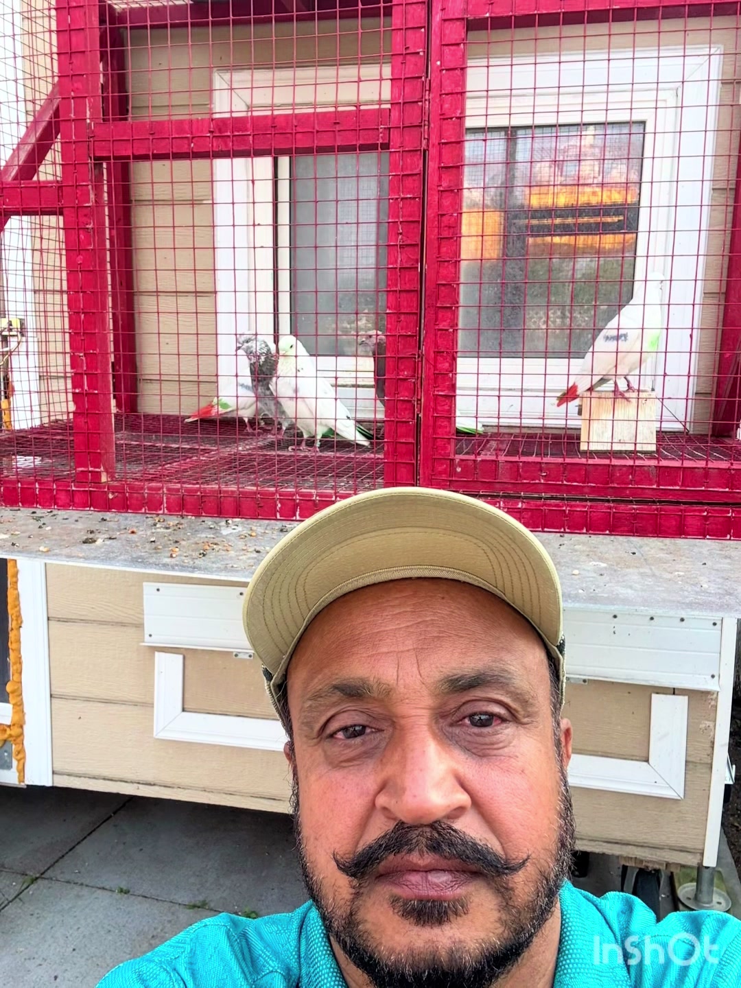 @kakashaunki CANADIAN 🇨🇦