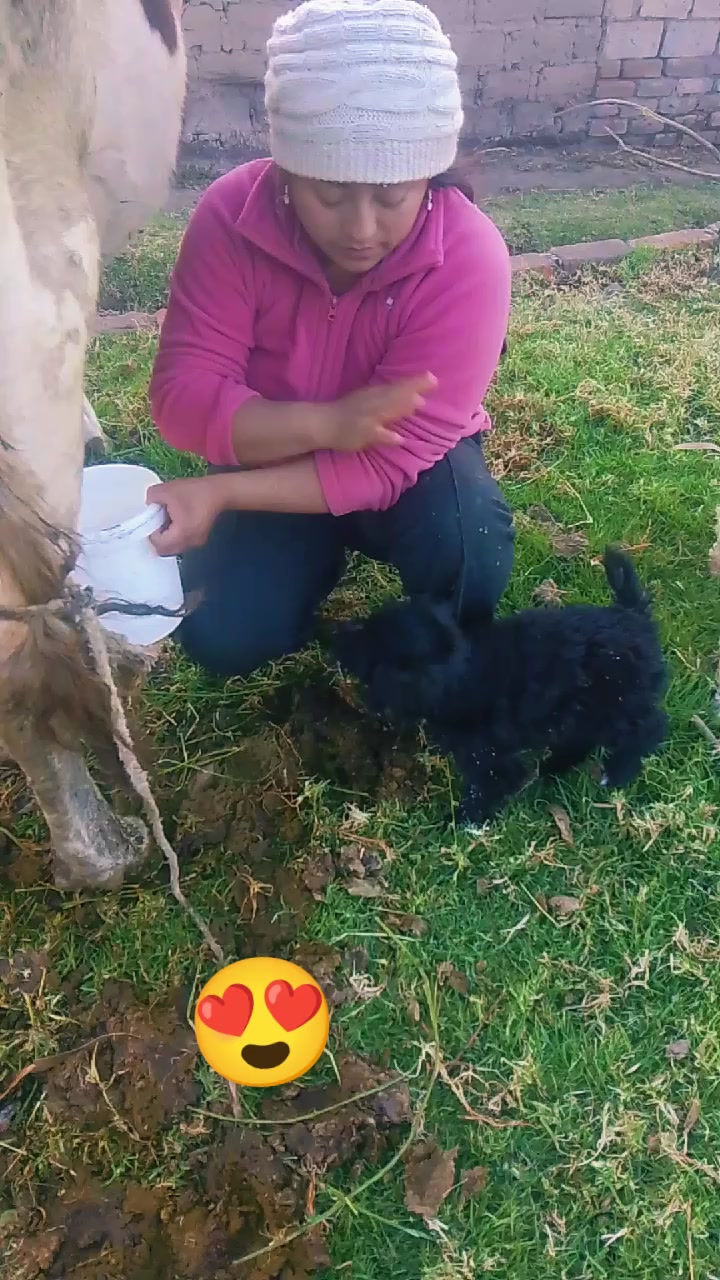 @belensita