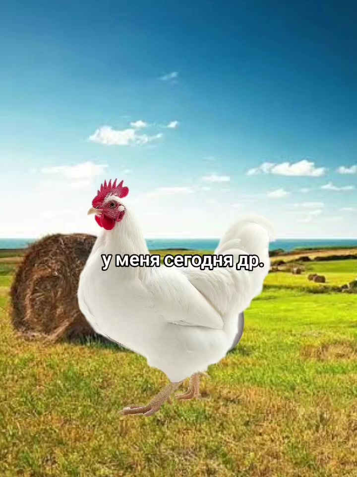 @esc.euroguy
