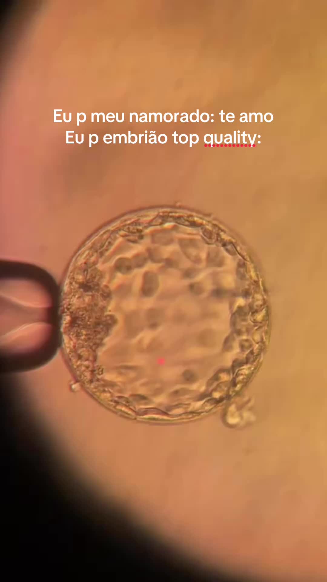 @Lai | Embriologista