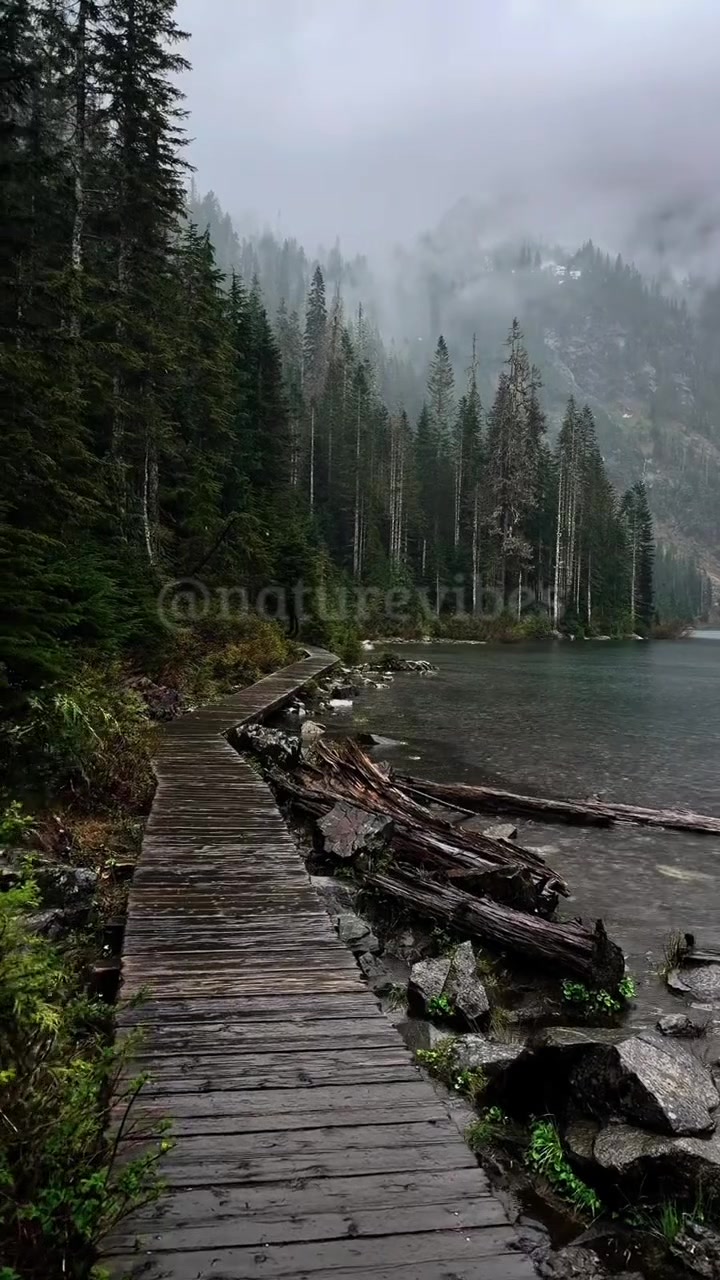 @Nature Vibes