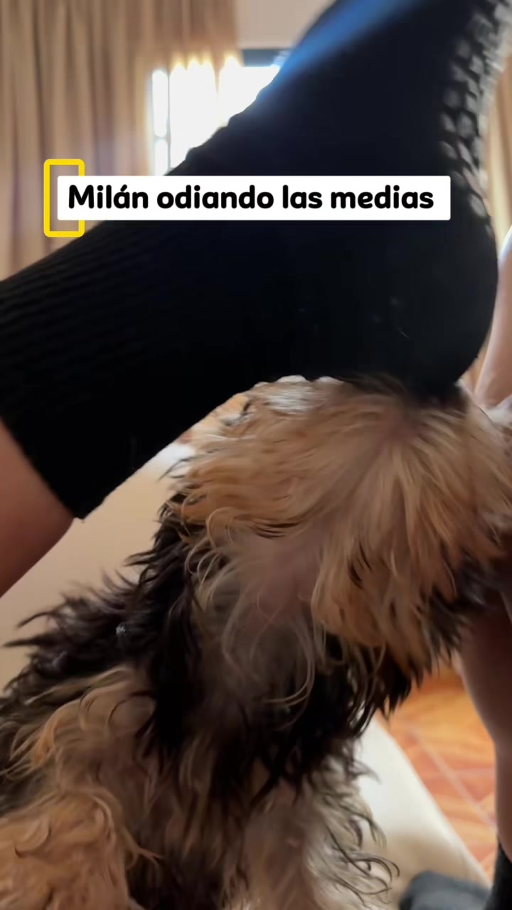 @A