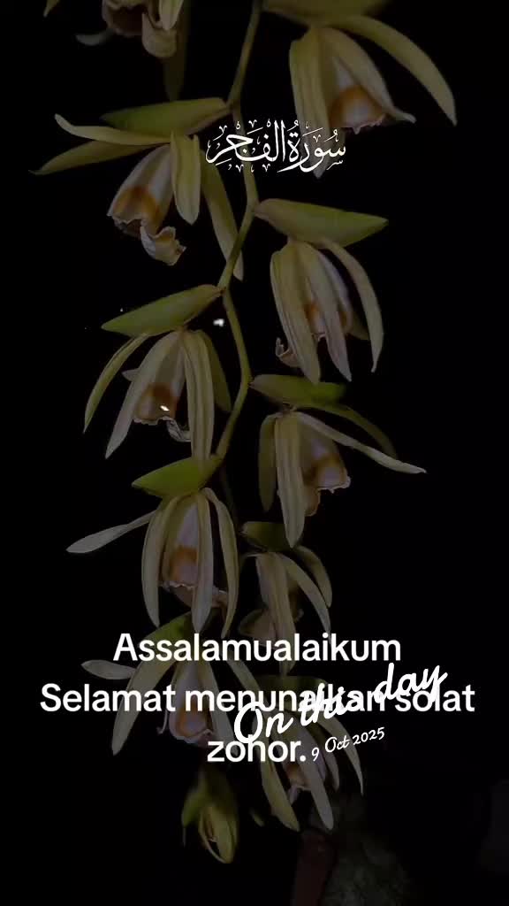 @Ruzaini Manap