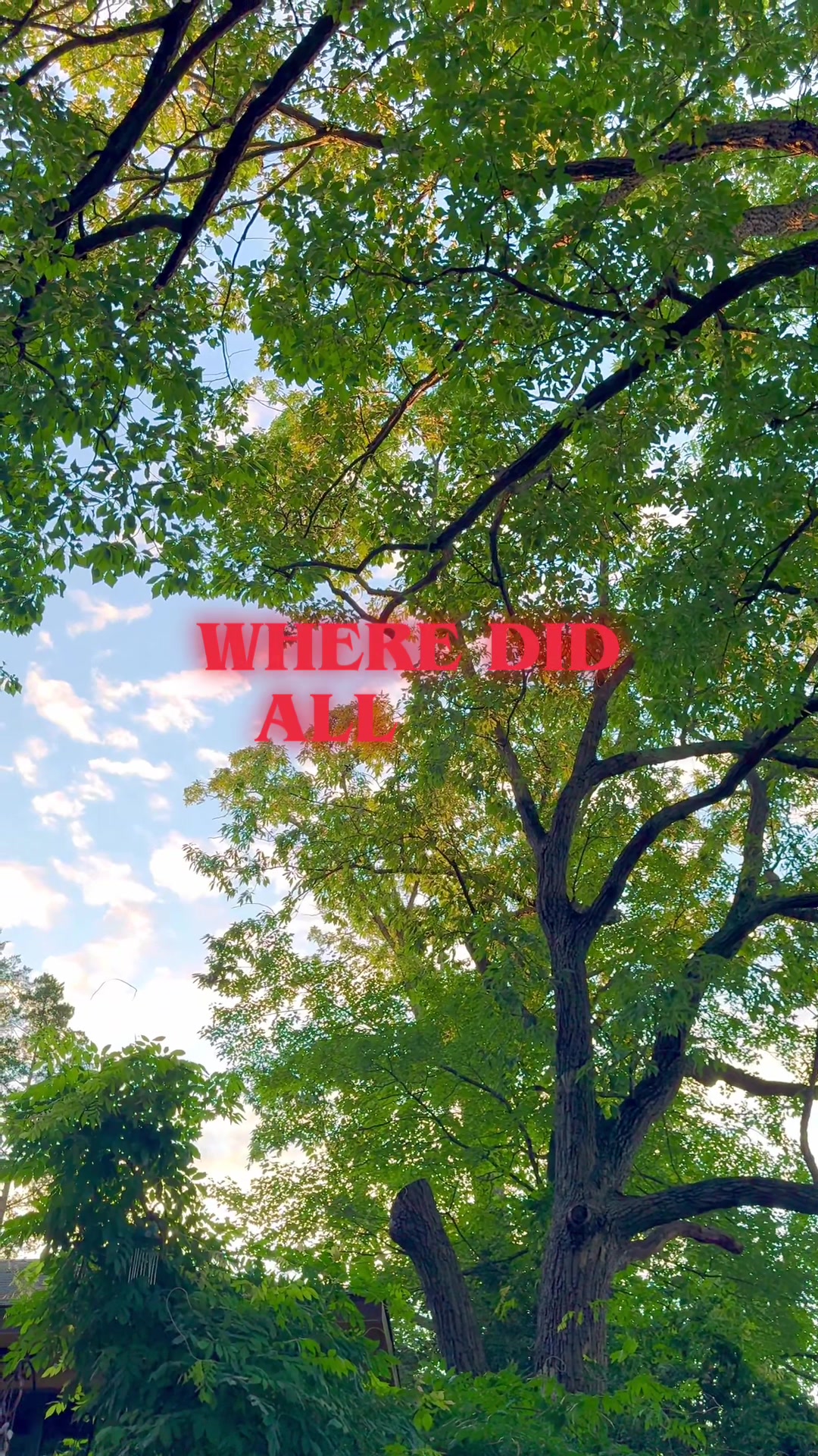 @E🌹