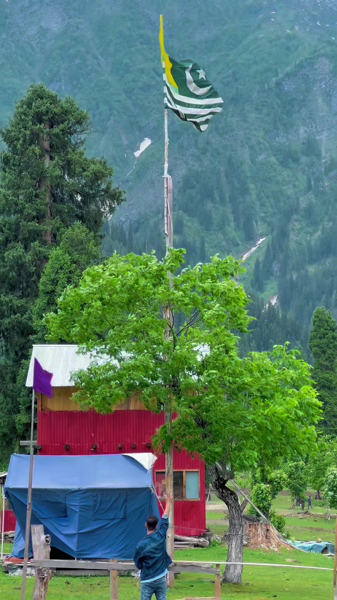 @Aamir Kashmiri 🍁