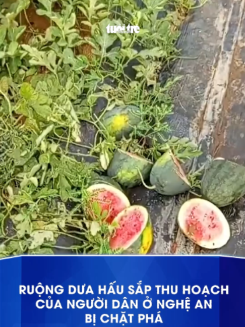 @B&aacute;o Tuổi Trẻ