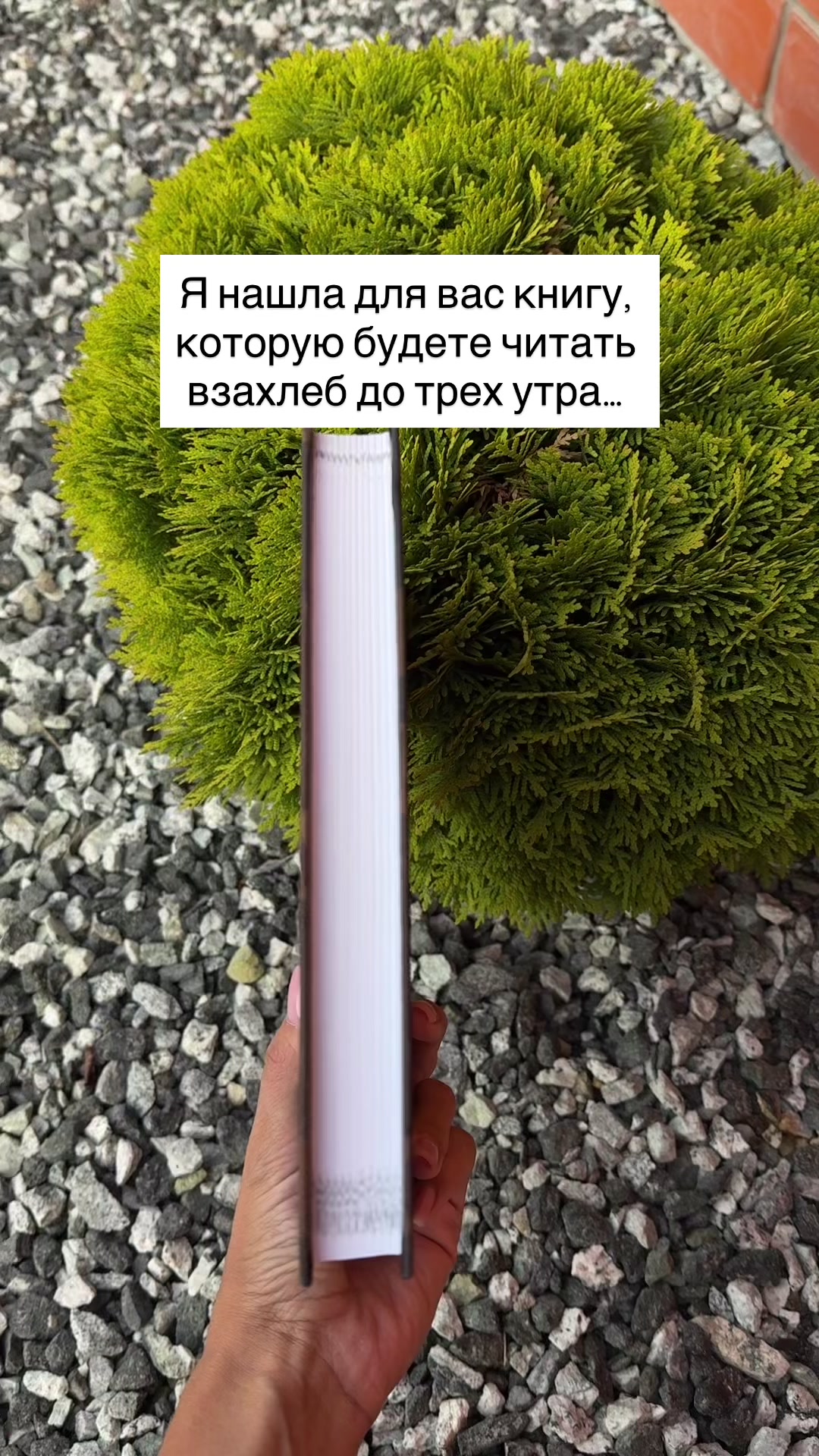 @Книги