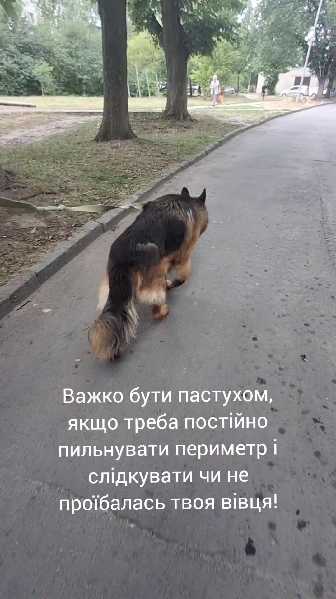 @МАТЬ ДРАКОНІВ🤣