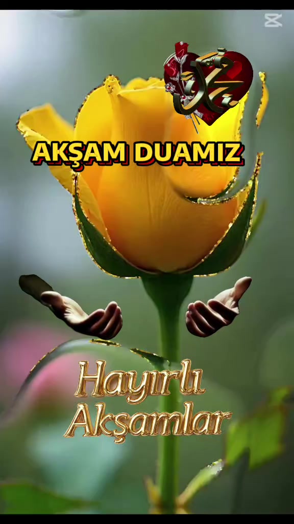 @aynur Kocakaya 280.🤲