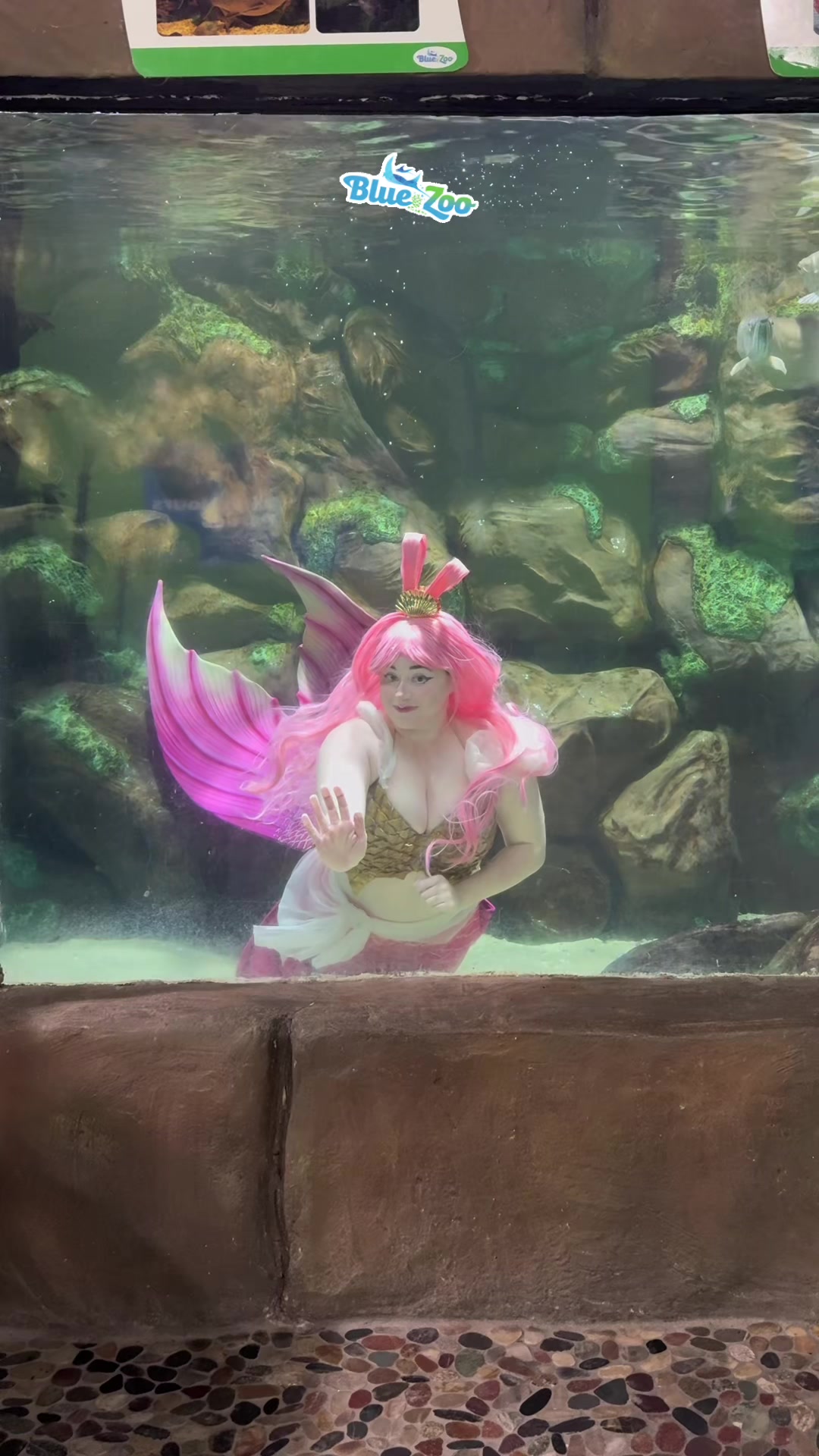 @Rose the Mermaid