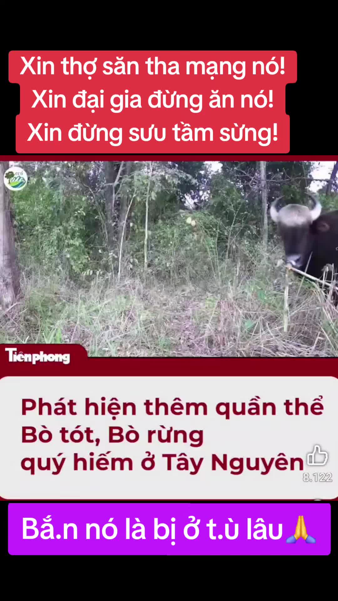 @Nguyễn Quốc Thệ