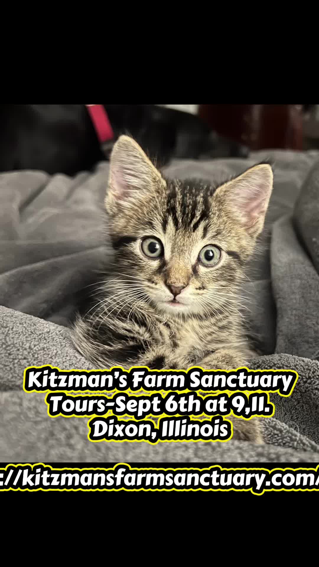@Kitzman’s Farm Sanctuary