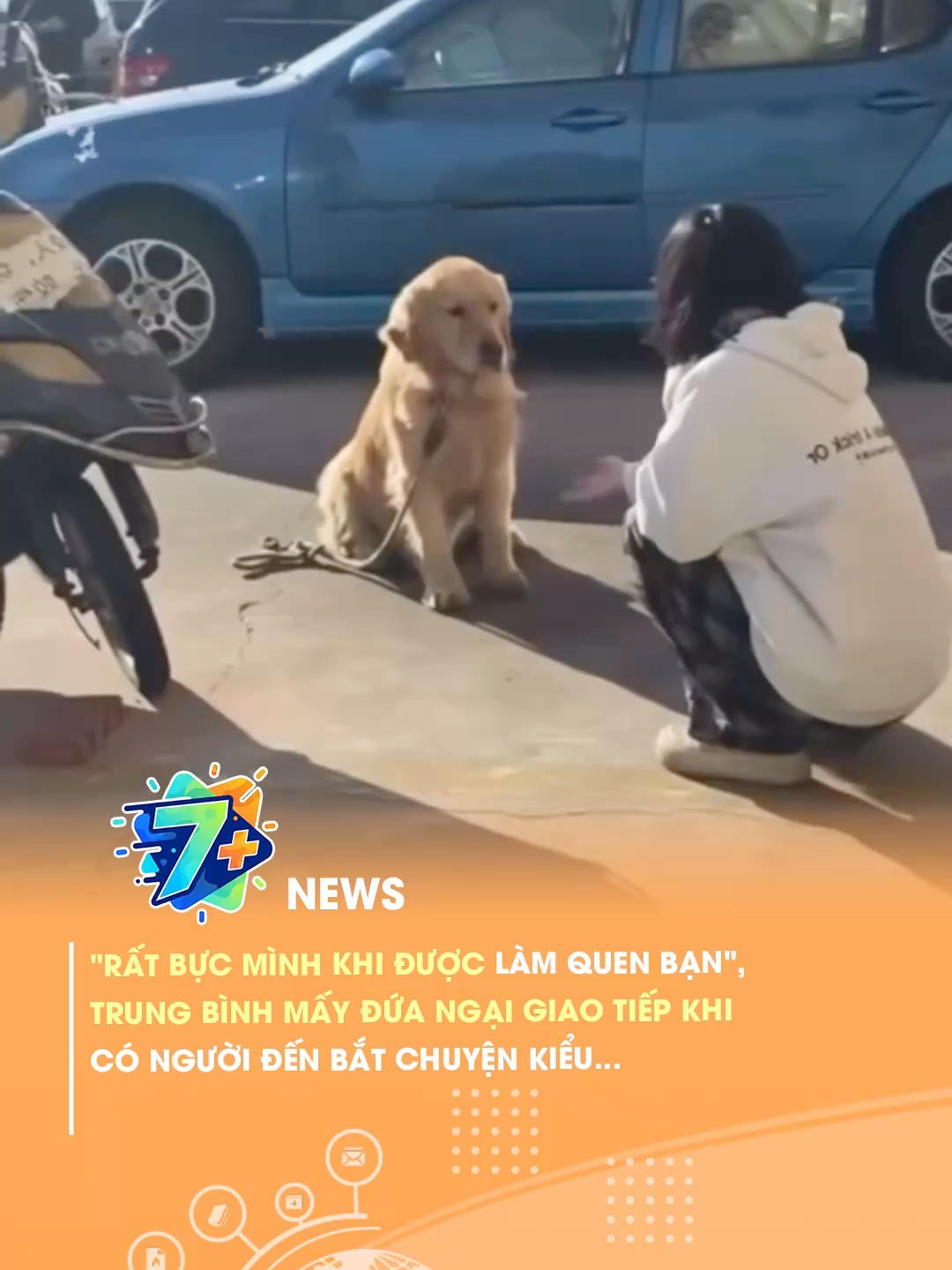 @7 Plus News