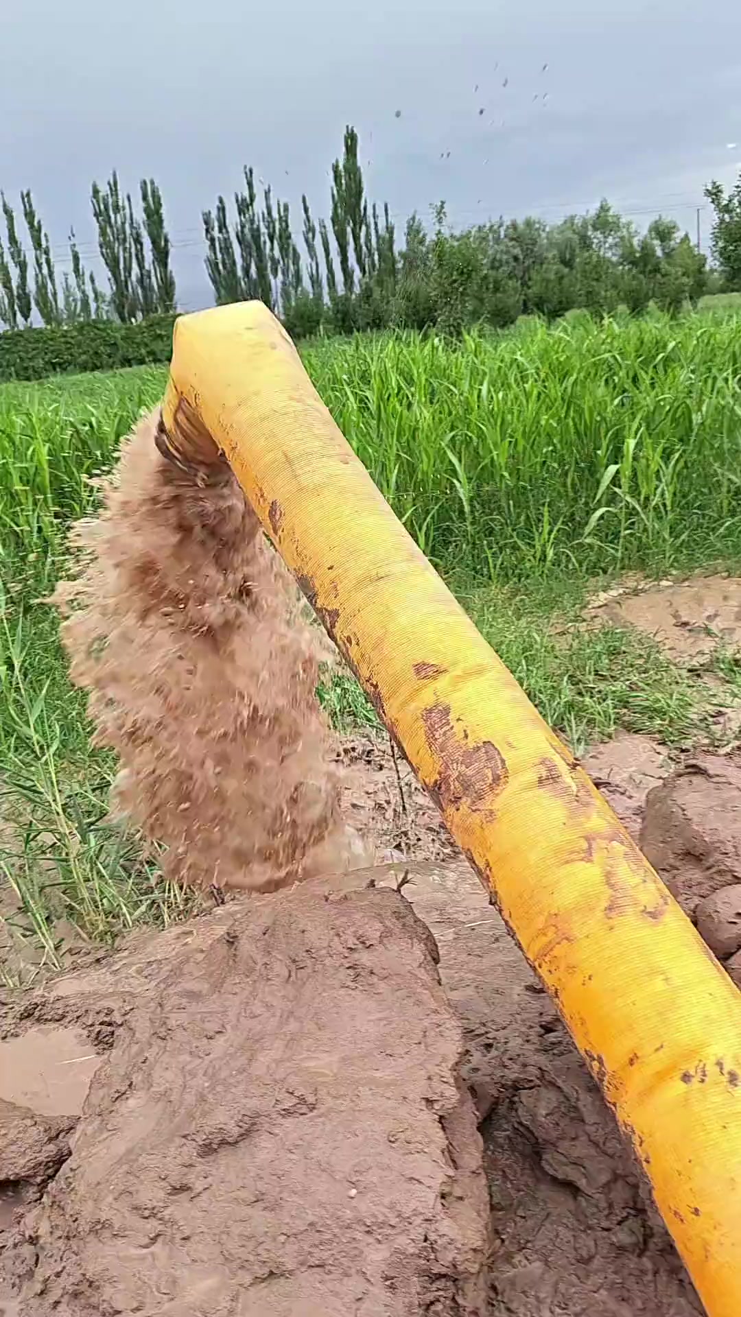 @🇲🇽MAYOREO QIHUO M&Eacute;XICO🇲🇽