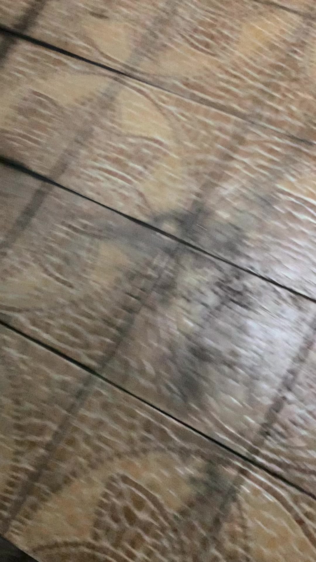 @ʎʞuǝʌuɐʞnq⁵⁰⁵