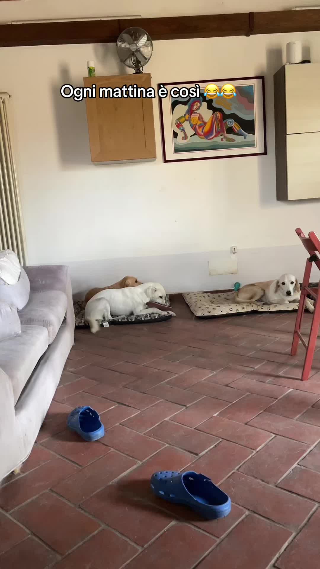 @KIRA❤️LEYLA💙