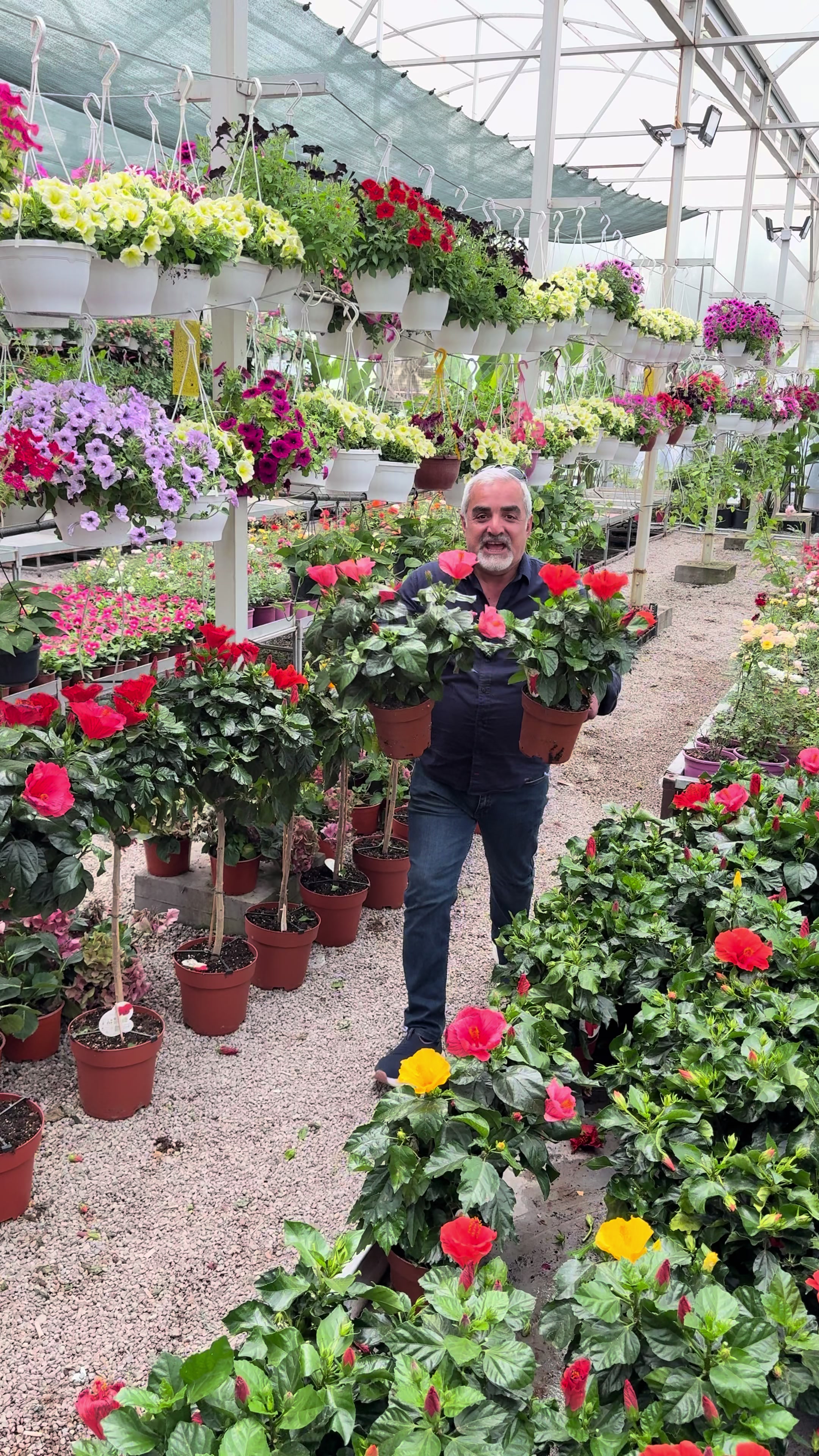 @Heaven flower .Erbil