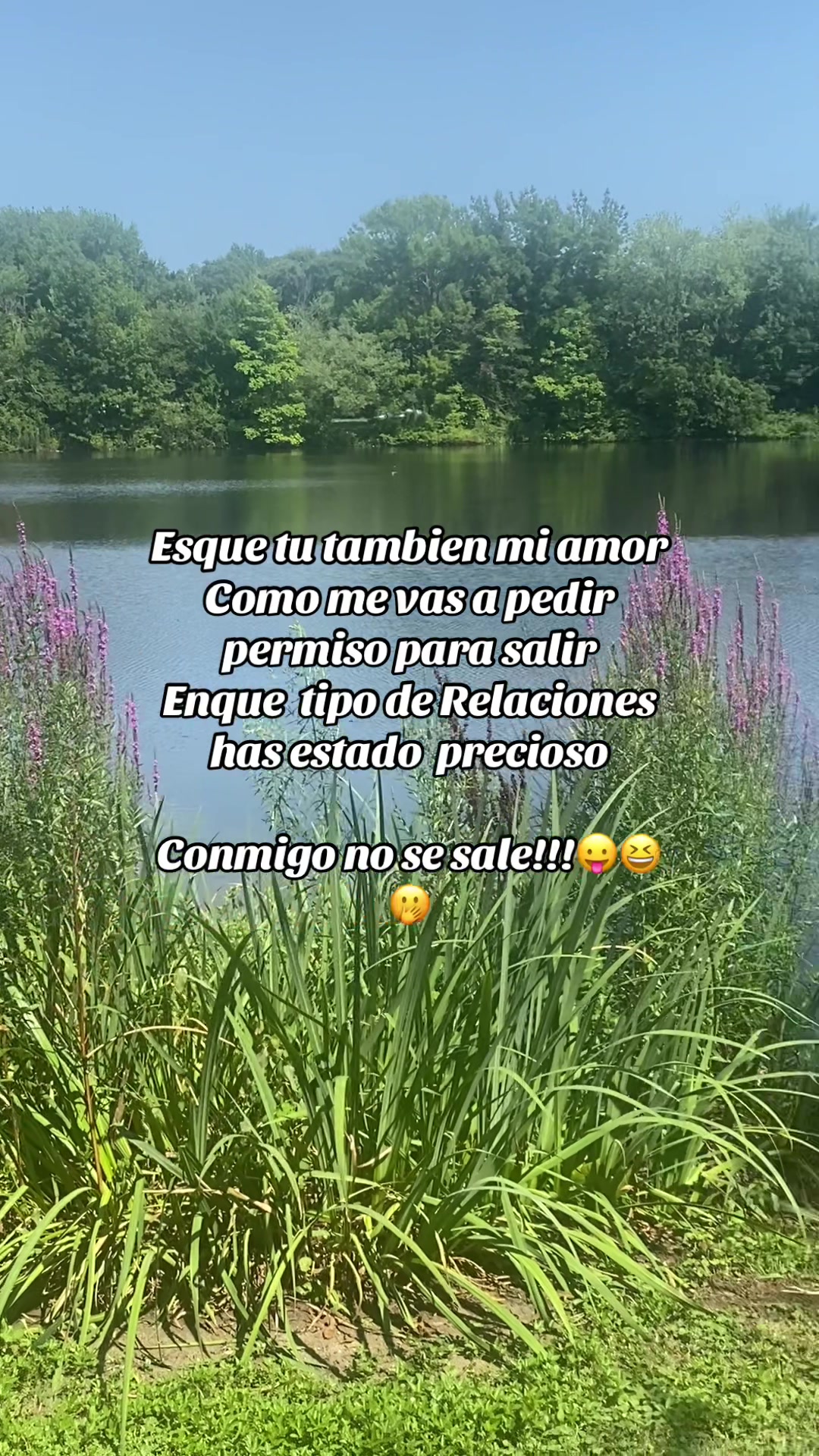 @💛Bonita_Girasol91