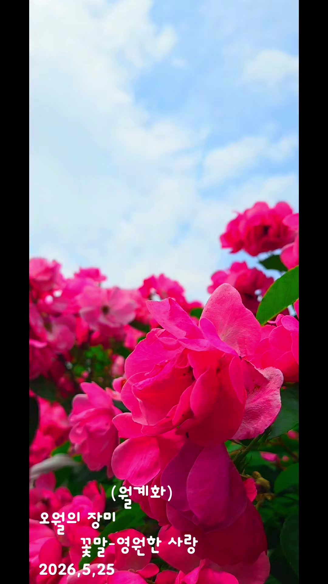 @참파