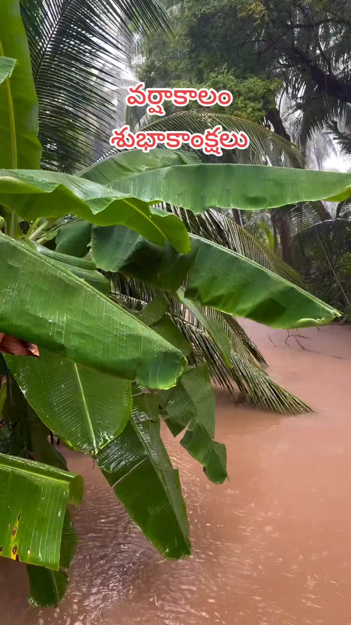 @🖤🅁🄰🄼🅄🖤బట్టెలంక కుర్రోడు☔