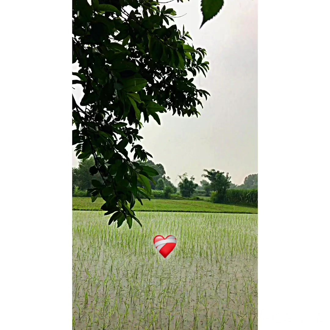 @𝐏𝐔𝐍𝕵𝐀𝐁👳🏻♂️🌾