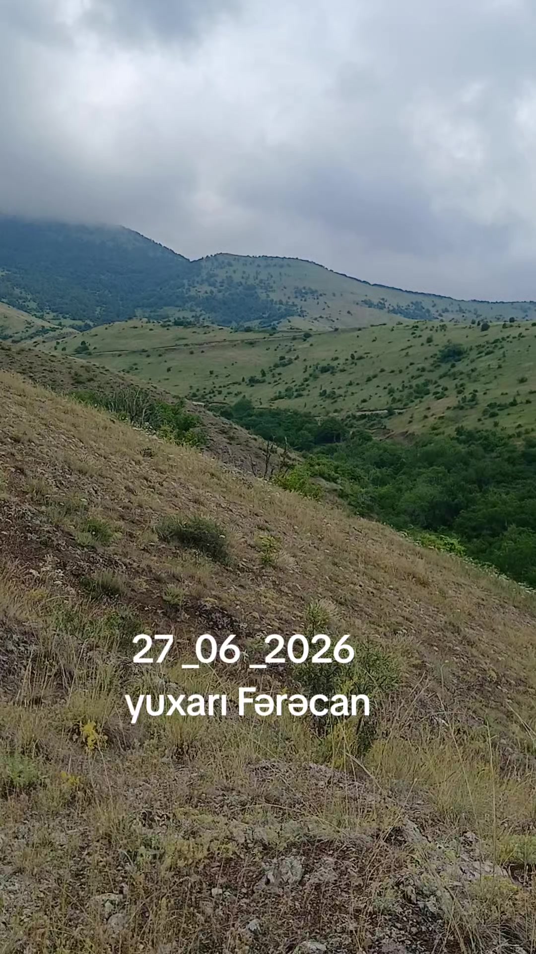 @VETERAN 041