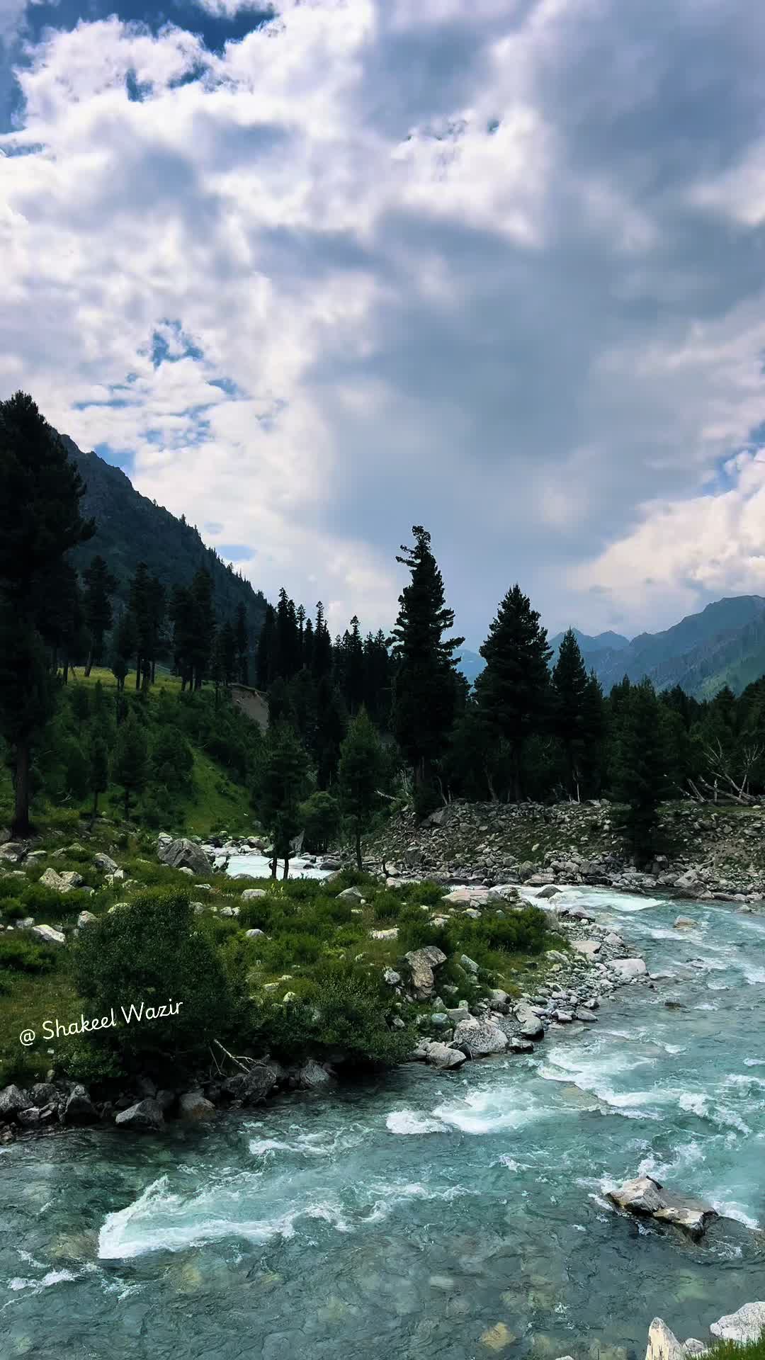 @Shakeel Wazir