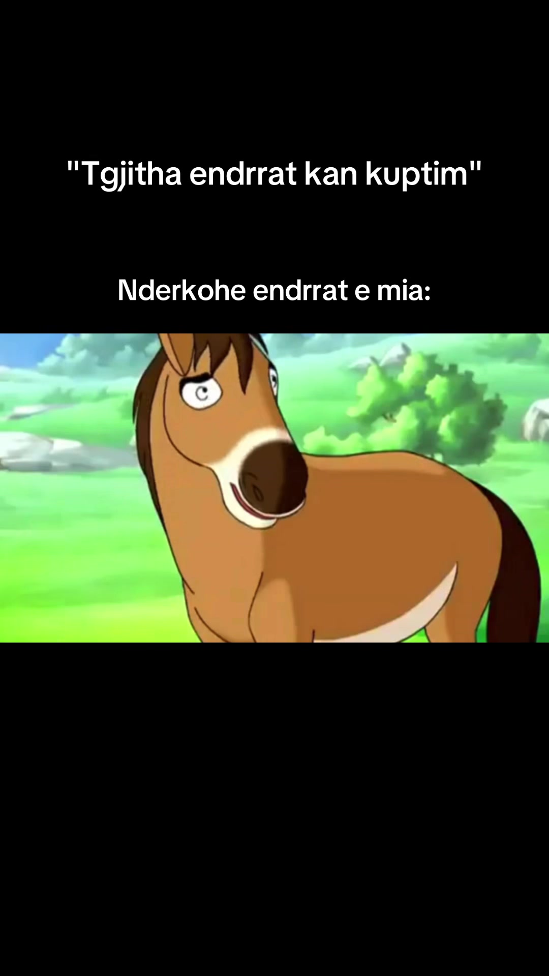 @sindikadia