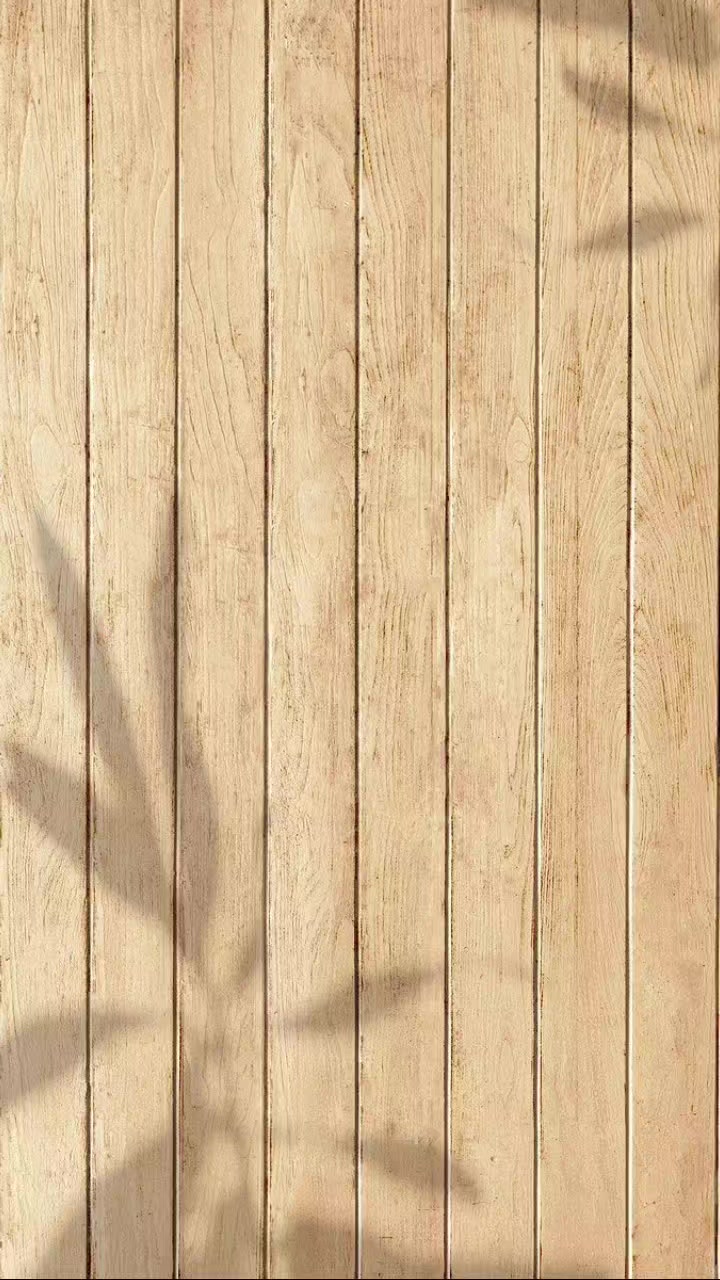 @chelita  🦂💙