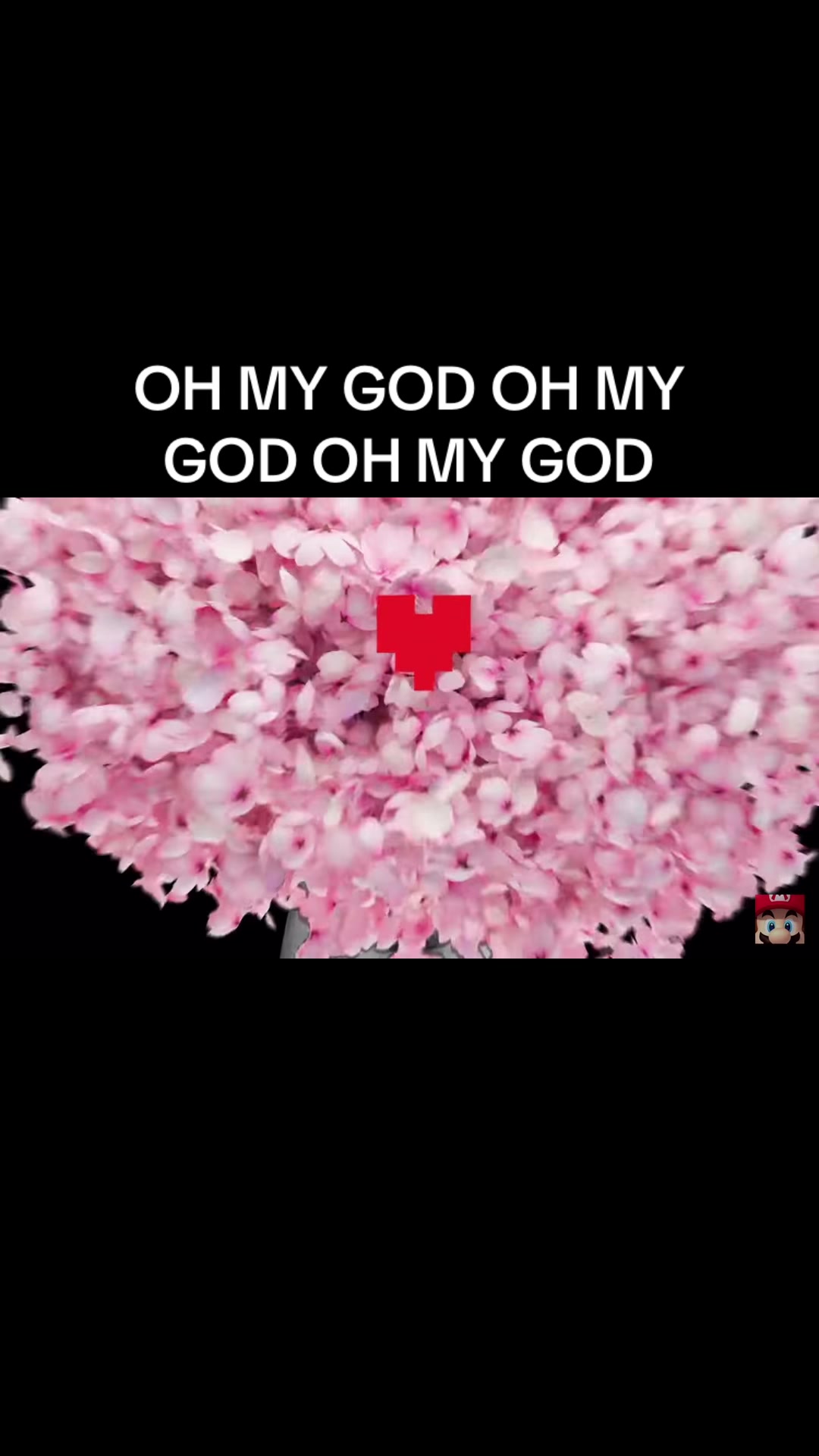 @SkateTheRoller