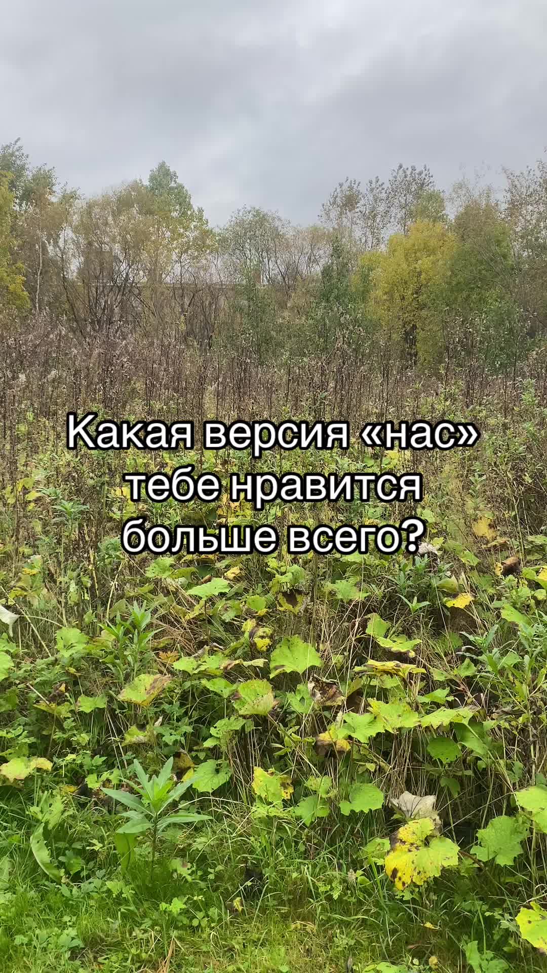 @Данил